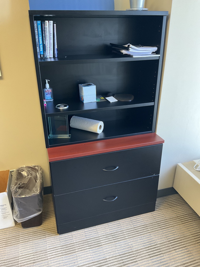 36x20x66 CABINET