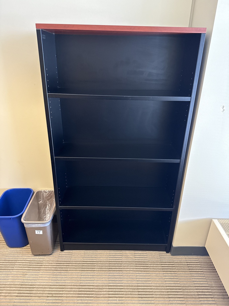 36x12x66 BOOK CASE