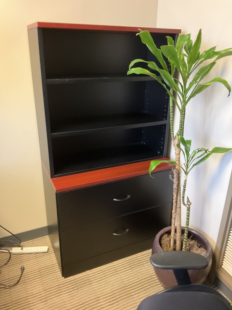 36x20x66 CABINET