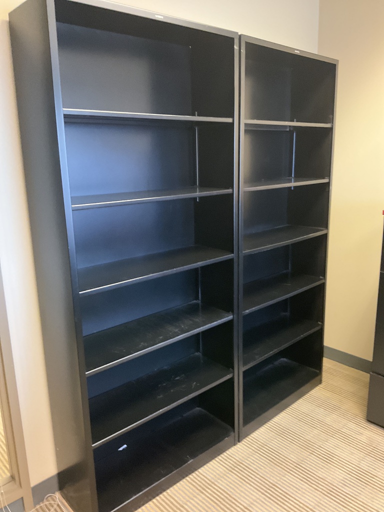 35x13x81 BOOK CASE