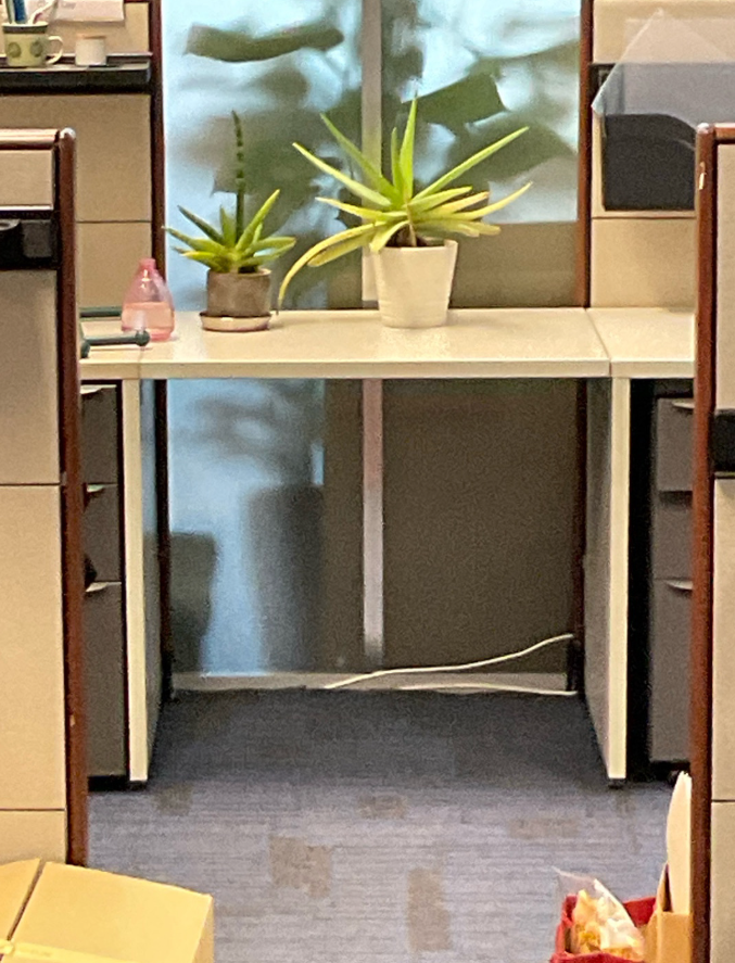 Workstation (Divider)