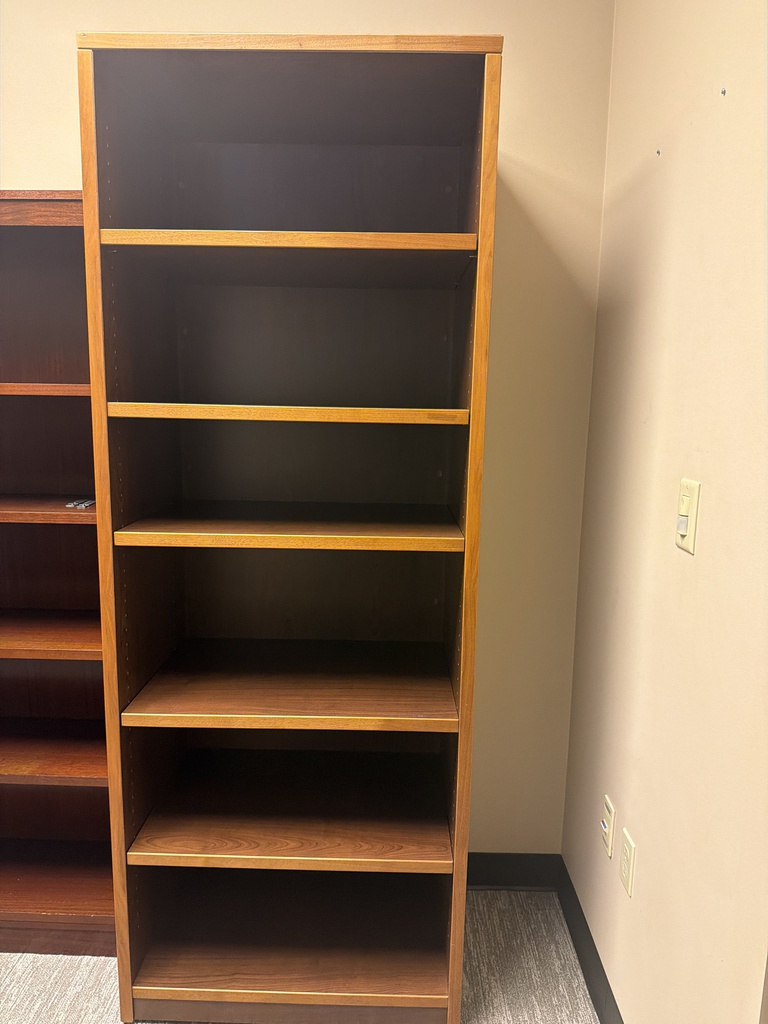 20x30x81 BOOK CASE