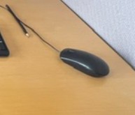 MOUSE