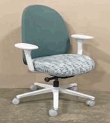 Tone Task Chair, Mesh Back and Luum Sleeve, 4D Arms, Lumbar Support