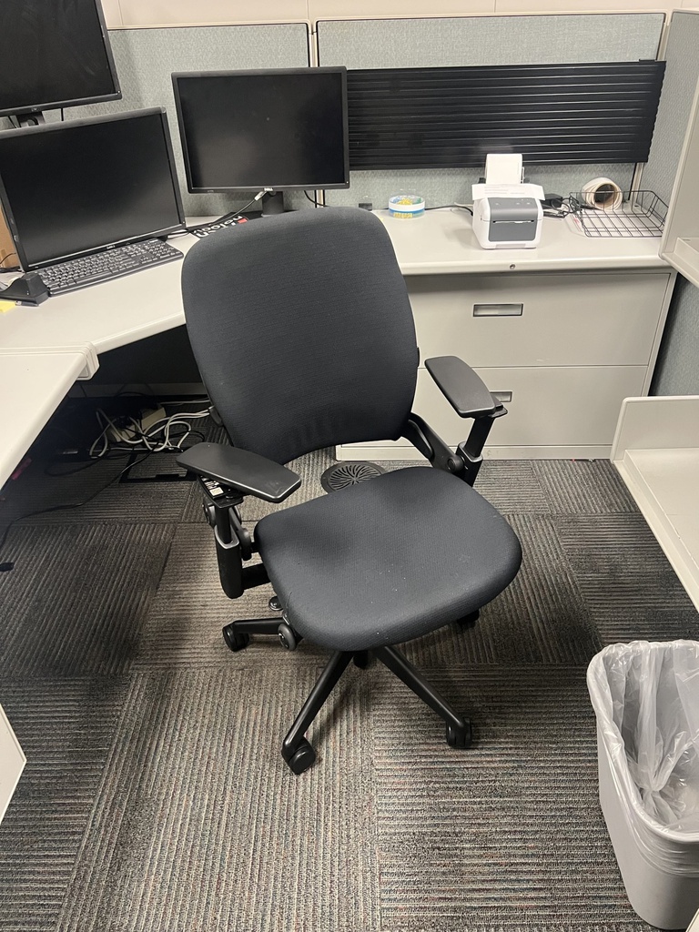 black leap task chair