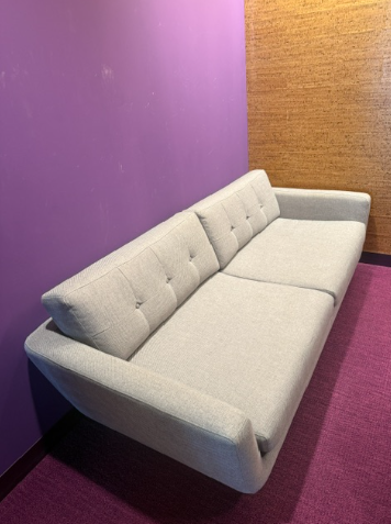 Grey Couch
