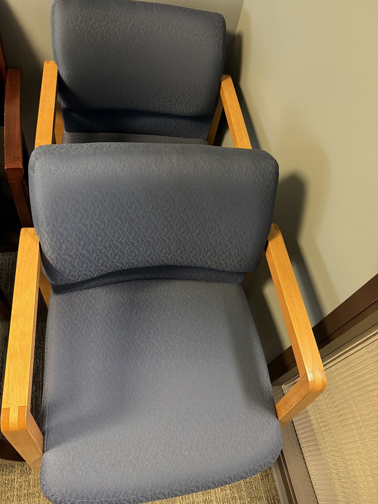 BLUE GUEST CHAIRS