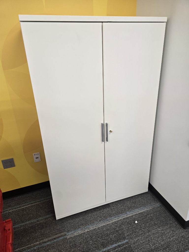 2 door cabinet