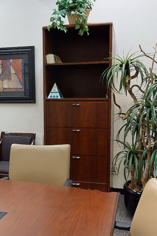 Tall Brown Wooden Drawer/Cabinet
