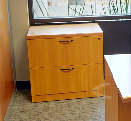 Wooden Filing Cabinet