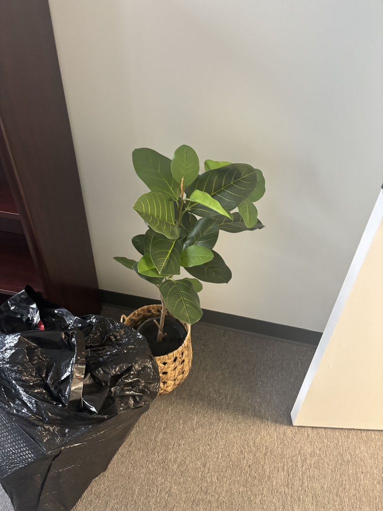 Plant