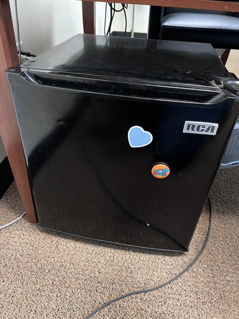 Black Mini Refrigerator