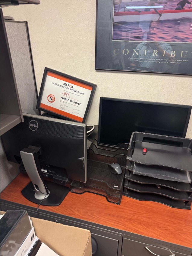Monitors (DELL)