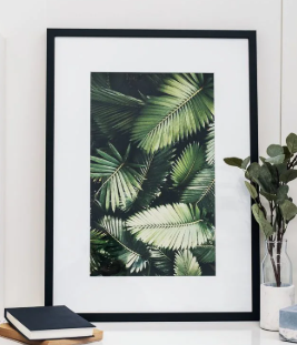 Framed posters (photo representation)