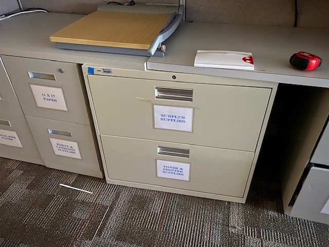 2 Drawer Lateral File