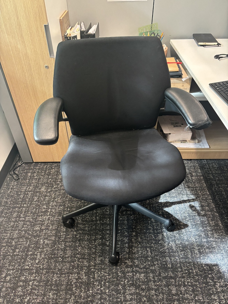 Humanscale Freedom Chairs