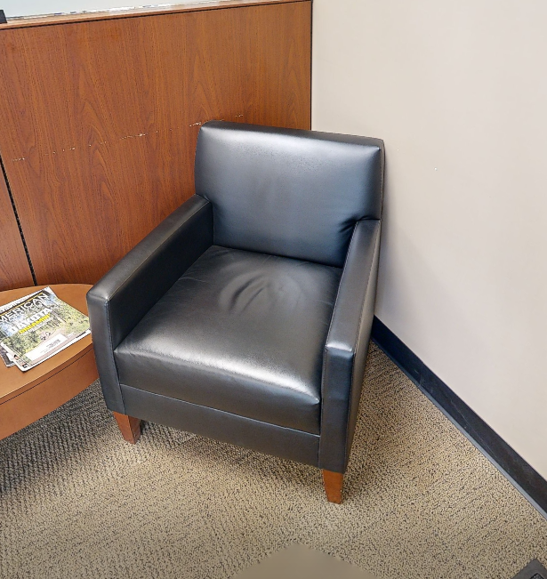 Black lounge chair