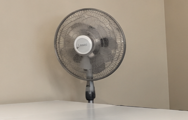 fan