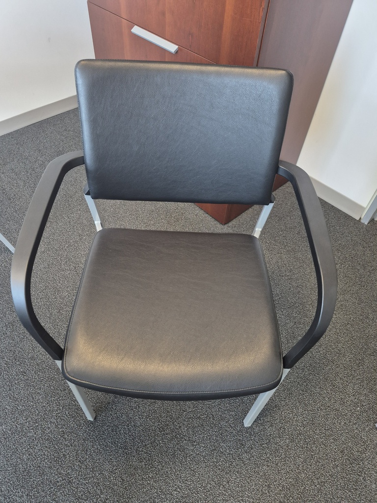 Guest chair, Metal, Leather