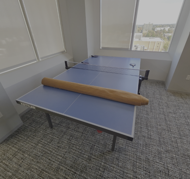 Ping Pong Table