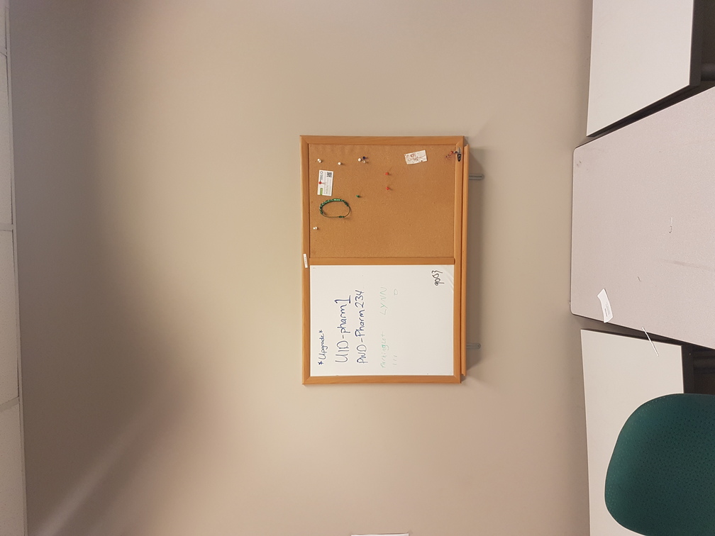 Cork Board