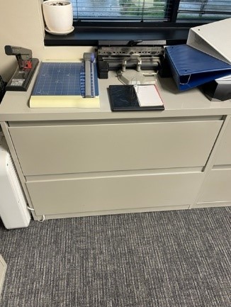 2 Drawer Tan Filing