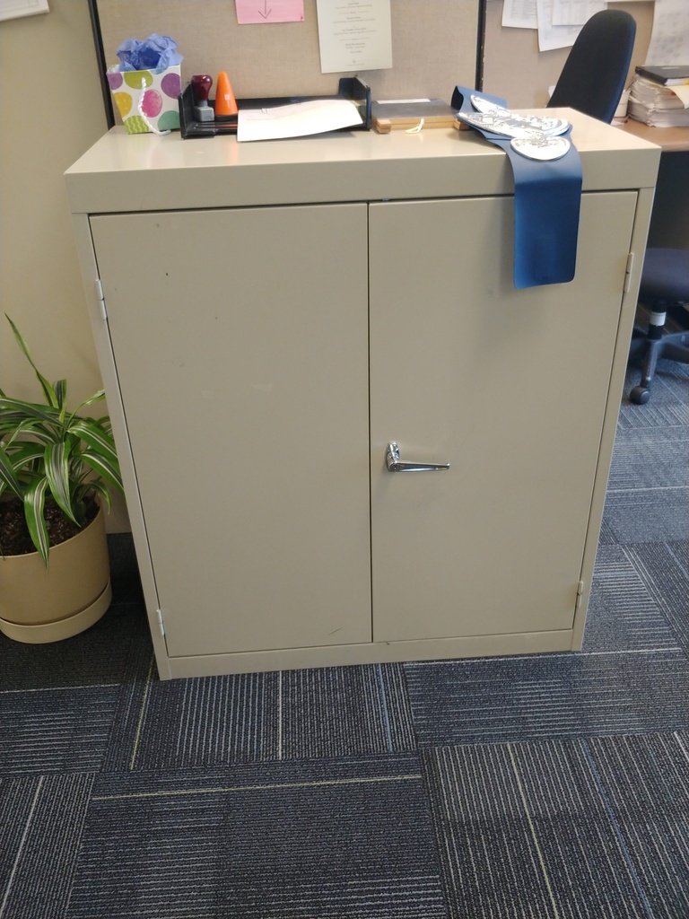 Metal 2 Door Cabinet 18" x 36" x 41"