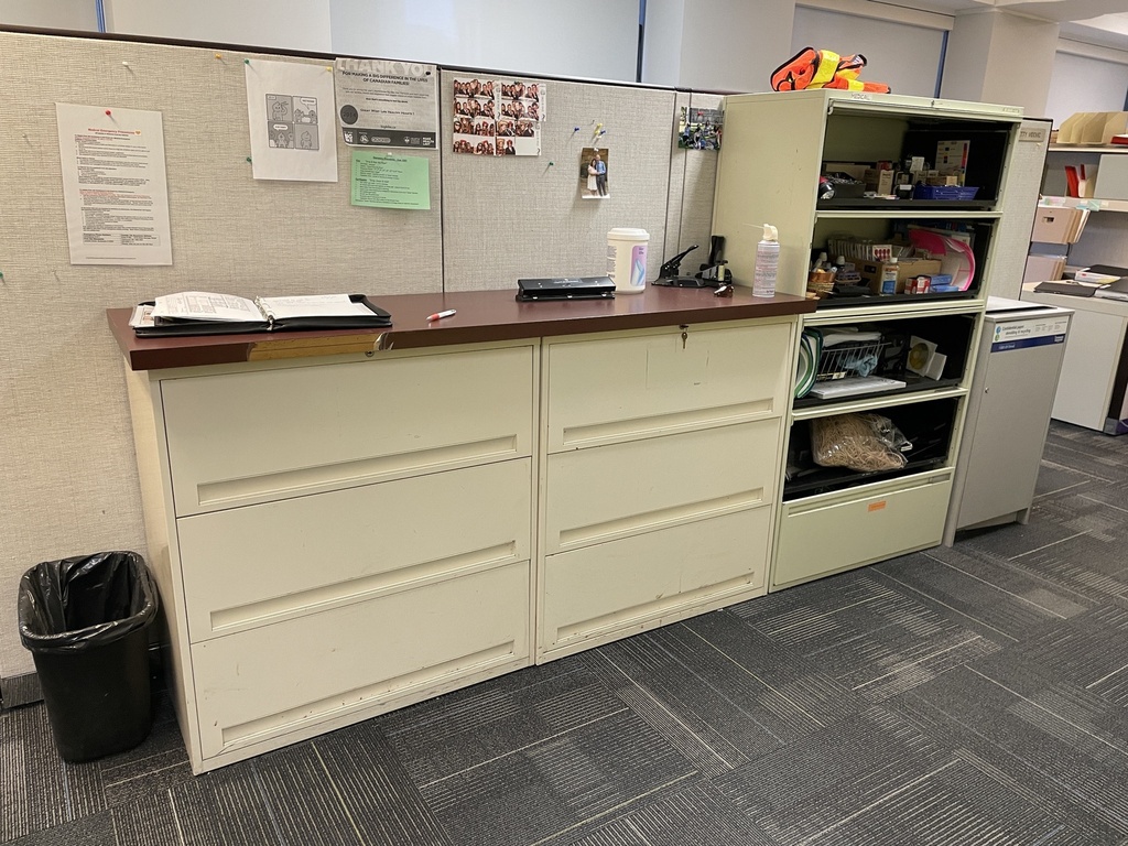 Filing - 3 Drawer Lateral (Photo Approximation)