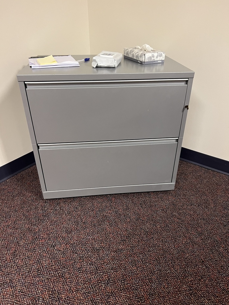 2 Lateral Filing 30"x20"