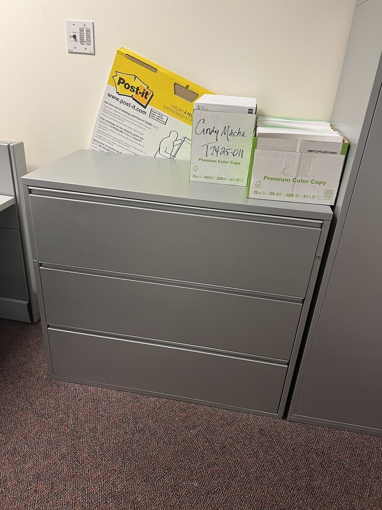 3 Lateral Filing 42"