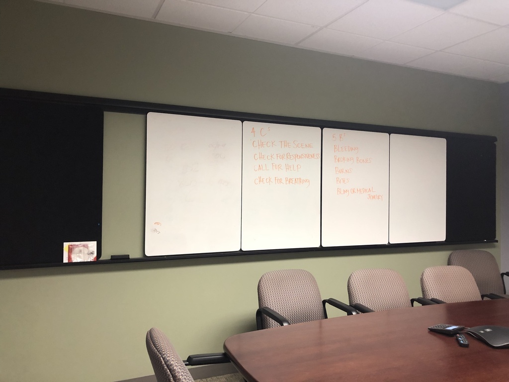 Mounted Whiteboard (16'x4')
