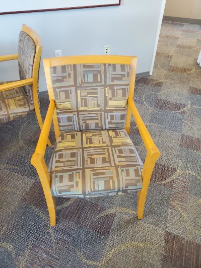 Patterned Guest Chair