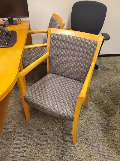 Patterned Guest Chair