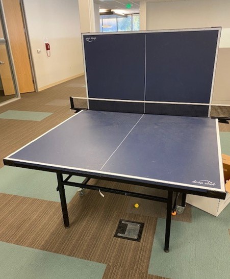 Ping Pong Table