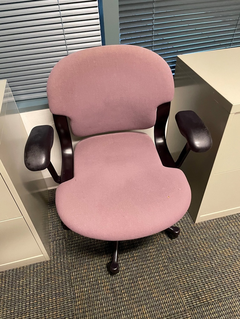 Task Chair - with Arms