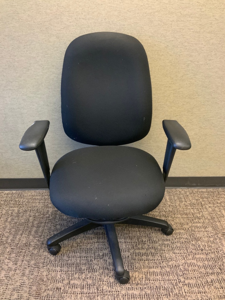 Executive Task Chair w/ Height Adjustable Arms