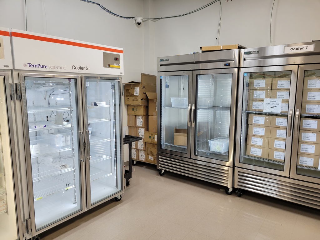 Upright Freezer - Pharma Storage