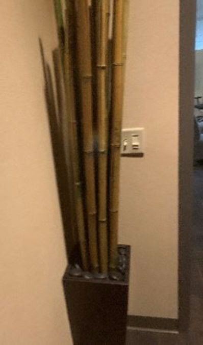 Bamboo Planter