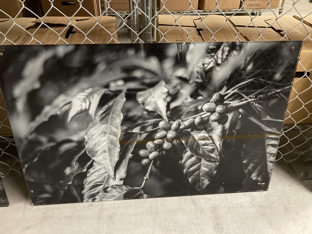 B&amp;W Coffee Beans 
