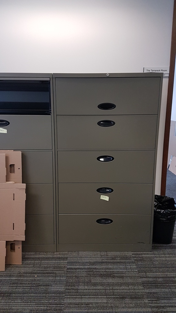 Filing Cabinet - 5+ Drawer (metal)