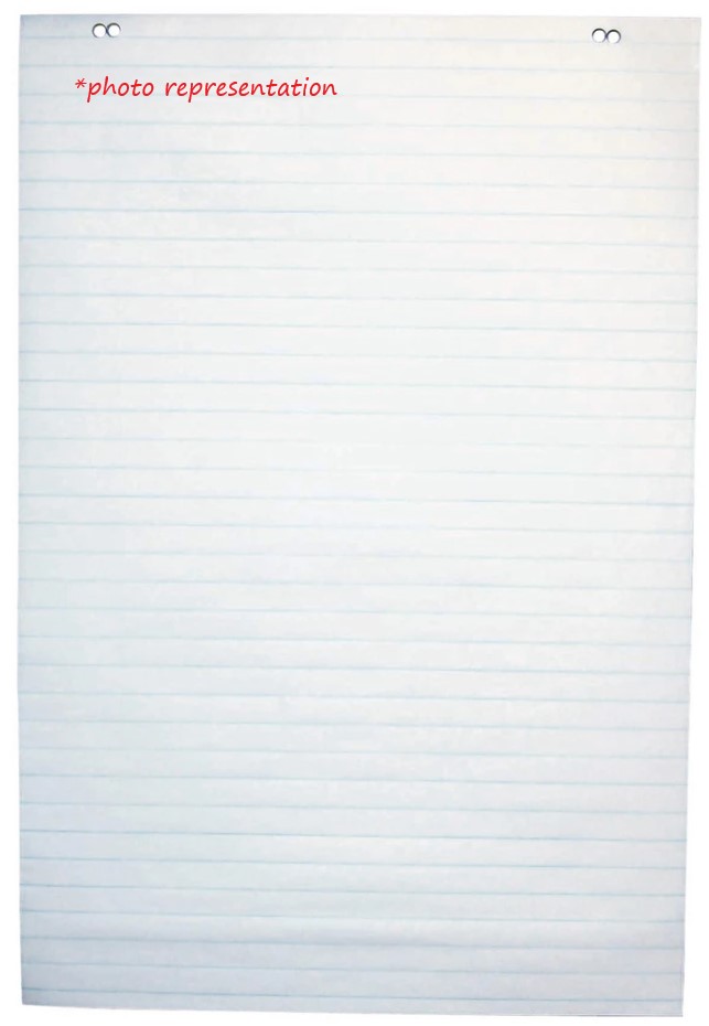 Chart Paper, asst. sizes