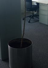 Metal pot, circle, silver | Maceta de metal, círculo, plateada