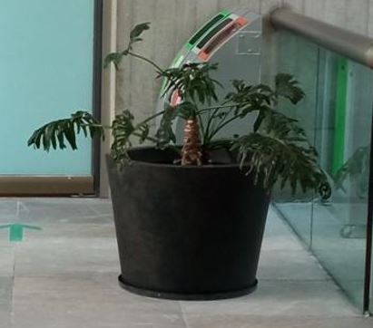 Metal pot, black | Maceta metalica, negro 