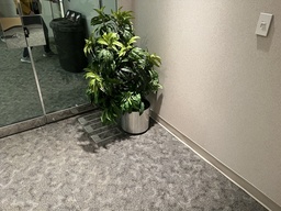 [#J5-9] Fake plant