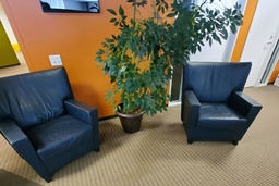 [#B12-76] Blue Lounge Chairs