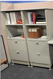 [#D25-2] Tower Shelves