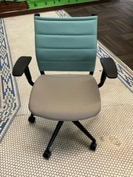 [#B5-255] Conference Chairs