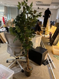 [#J5-146] Artificial plant, small