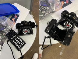 [#00-45] Telephone purse