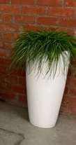 [#J2-33] White Vase